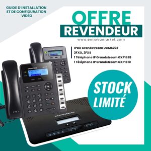 Pack IPBX Grandstream UCM6202/GXP1610 GXP1628