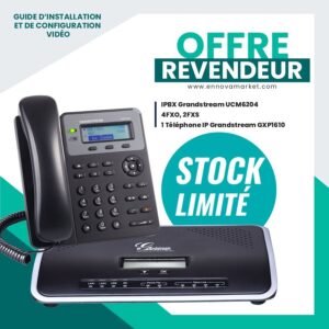 Pack IPBX Grandstream UCM6204/GXP1610