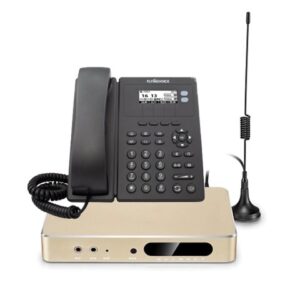 Pack Standard Sans Fil : OpenVox UC120 + 1 FIP10P FlyingVoice