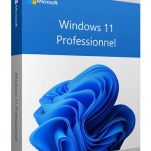 Microsoft Windows 11 Professionnel 64 bits Français